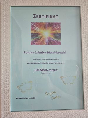 Vorschau Zertifikat: Kamasha-Lebendigkeits-Berater — Das Meisterorgan