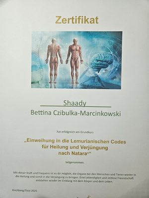 Vorschau Zertifikat: Lemurianische Codes (Grundkurs)